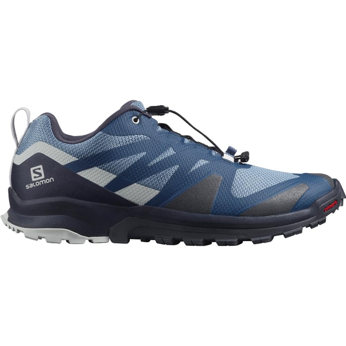 Tenis Para Trail Running Salomon XA ROGG Hombre Azules | MX-410RAMJ