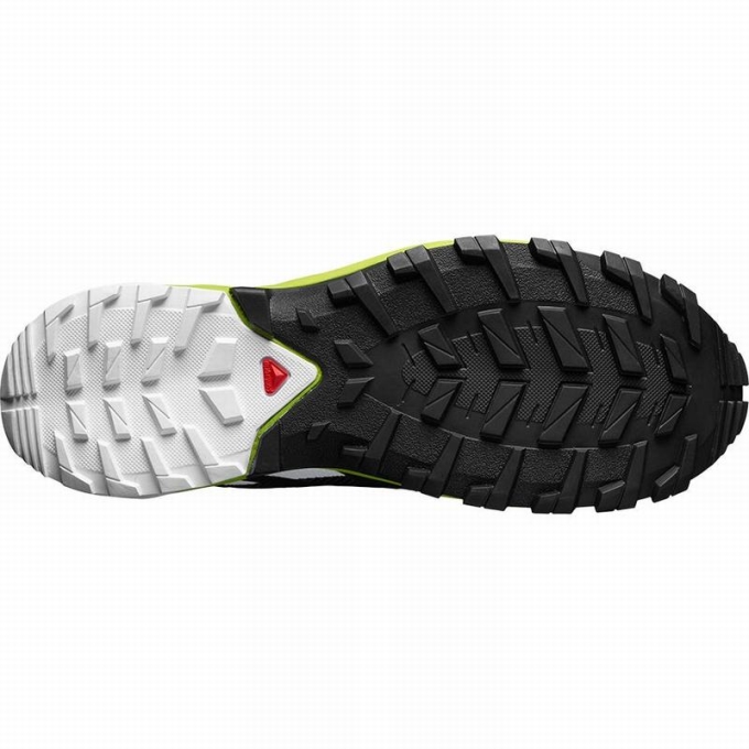 Tenis Para Trail Running Salomon XA ROGG GTX Hombre Rosas | MX-571YTWQ