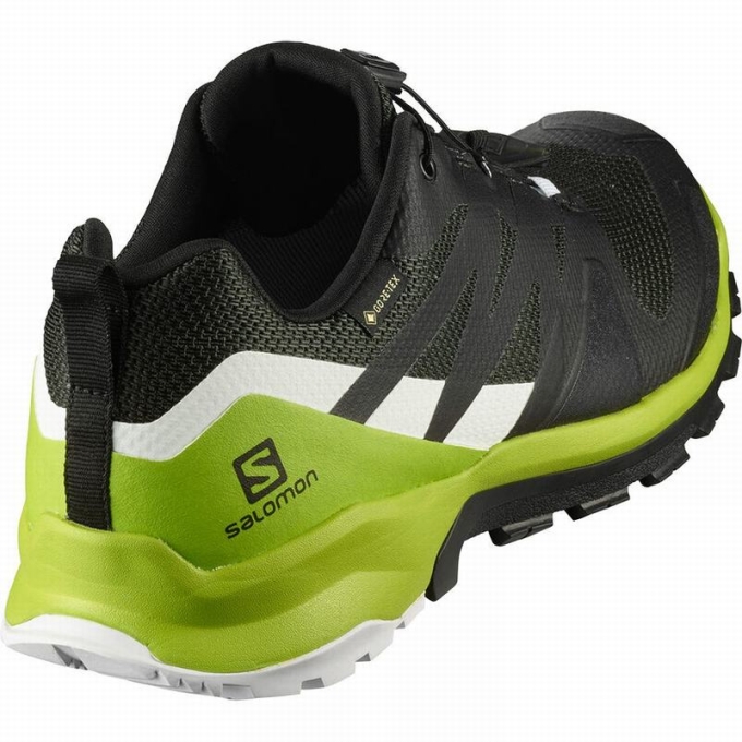 Tenis Para Trail Running Salomon XA ROGG GTX Hombre Rosas | MX-571YTWQ