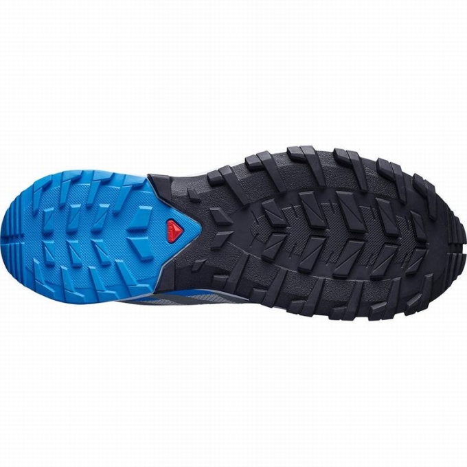 Tenis Para Trail Running Salomon XA ROGG Hombre Grises | MX-758ZVSC