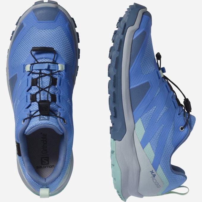 Tenis Para Trail Running Salomon XA ROGG GTX W Mujer Azules | MX-920HZOX