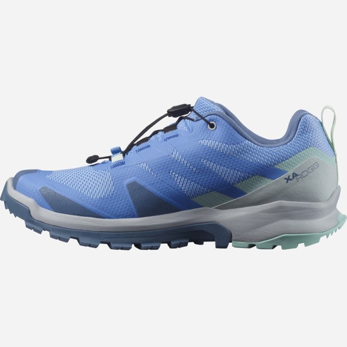 Tenis Para Trail Running Salomon XA ROGG GTX W Mujer Azules | MX-920HZOX