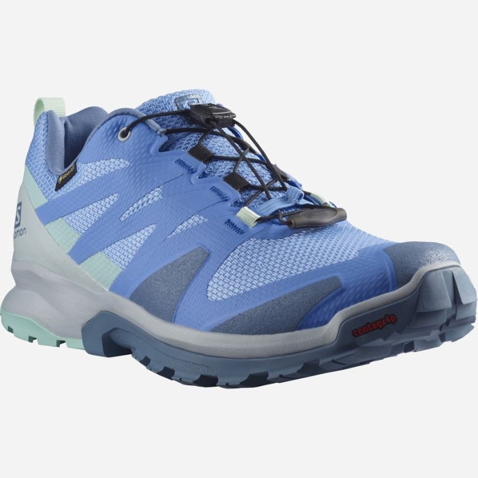 Tenis Para Trail Running Salomon XA ROGG GTX W Mujer Azules | MX-920HZOX