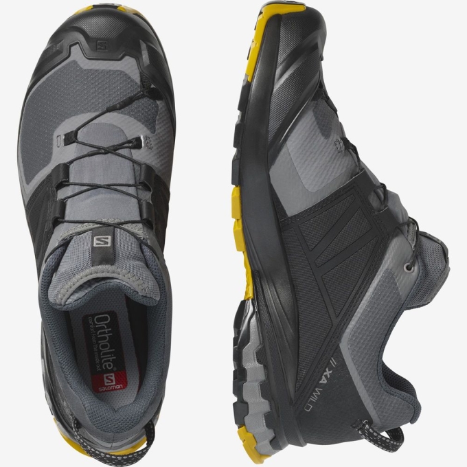 Tenis Para Trail Running Salomon XA WILD GORE-TEX Hombre Grises | MX-308PCAH