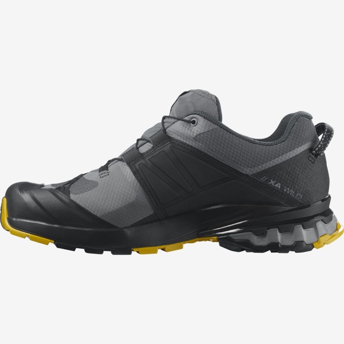 Tenis Para Trail Running Salomon XA WILD GORE-TEX Hombre Grises | MX-308PCAH