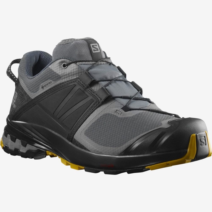 Tenis Para Trail Running Salomon XA WILD GORE-TEX Hombre Grises | MX-308PCAH