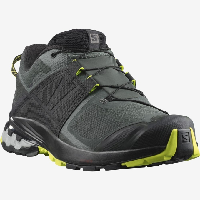 Tenis Para Trail Running Salomon XA WILD GORE-TEX Hombre Verdes | MX-394NRLF