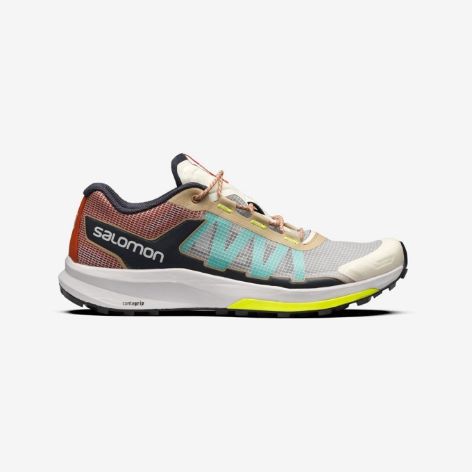 Tenis Salomon ULTRA RAID Hombre Multicolor | MX-387APHM