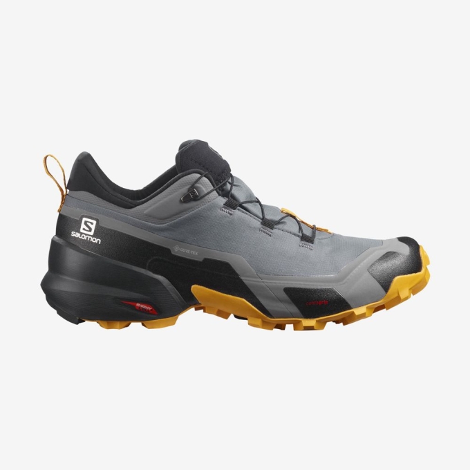 Tenis Senderismo Salomon CROSS HIKE GORE-TEX Hombre Grises | MX-538LTYH