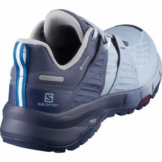 Tenis Senderismo Salomon ODYSSEY GTX W Mujer Azules | MX-864ZNRF