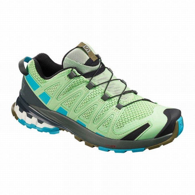 Tenis Senderismo Salomon XA PRO 3D V8 Mujer Verdes | MX-954RSPY