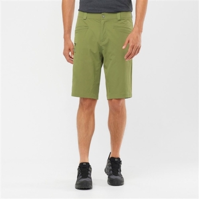 Bermudas Salomon WAYFARER ALL SEASON STRAIGHT M Hombre Verde Oliva Verdes | MX-710NKAO