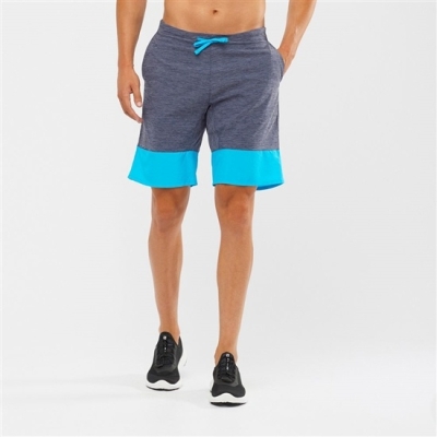 Bermudas Salomon XA TRAINING Hombre Grises Azules | MX-139FZNO