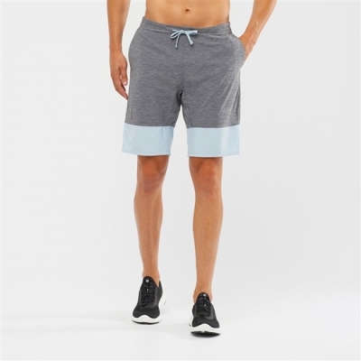 Bermudas Salomon XA TRAINING Hombre Grises Azules | MX-870RUQE