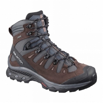 Botas Montaña Salomon QUEST 4D 3 GTX W Mujer Azules Oscuro Chocolate Morados | MX-730IYAR