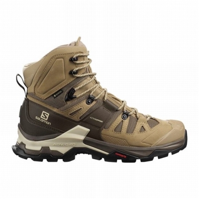 Botas Montaña Salomon QUEST 4 GORE-TEX Hombre Marrom | MX-378THJQ