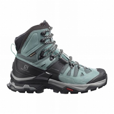 Botas Montaña Salomon QUEST 4 GORE-TEX Mujer Verdes Azules | MX-281DKPL