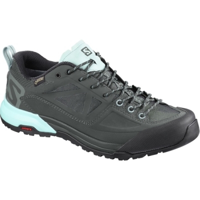 Botas Montaña Salomon X ALP SPRY GTX W Hombre Azules Claro Negros | MX-897NTRK