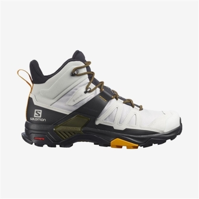 Botas Montaña Salomon X ULTRA 4 MID GORE-TEX Hombre Sliver | MX-142ENKU