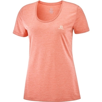 Camiseta Salomon AGILE SS W Mujer Coral | MX-926LVOQ