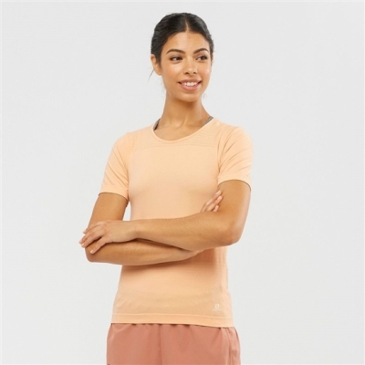 Camiseta Salomon ESSENTIAL MOVE ON SEAMLESS Mujer Beige | MX-290RGAO