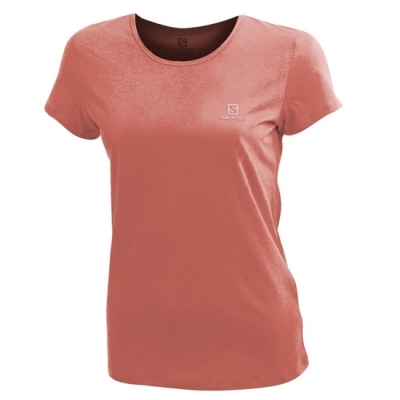 Camiseta Salomon LOGO SS W Mujer Coral | MX-135AVHN