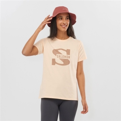 Camiseta Salomon OUTLIFE BIG LOGO Corta Sleeve Mujer Beige | MX-471NMLQ