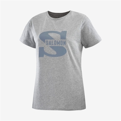 Camiseta Salomon OUTLIFE BIG LOGO Corta Sleeve Mujer Grises | MX-973QDXP