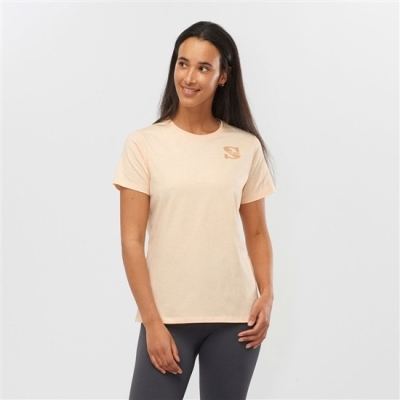 Camiseta Salomon OUTLIFE SMALL LOGO SS W Corta Sleeve Mujer Kaki | MX-372BZWS