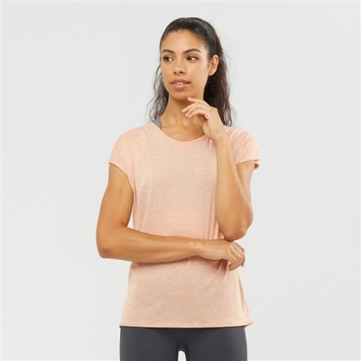 Camiseta Salomon XA SLEEVE TECH W Corta Sleeve Mujer Beige | MX-906DLZB