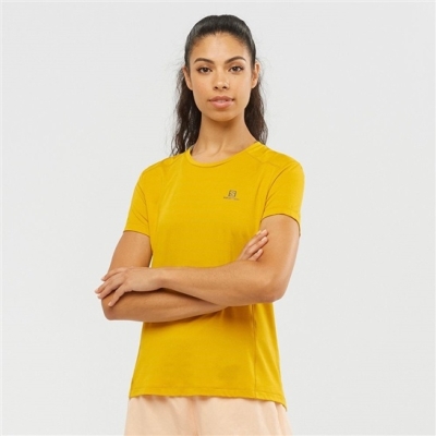 Camiseta Salomon XA W Corta Sleeve Mujer Amarillos | MX-304SPRJ