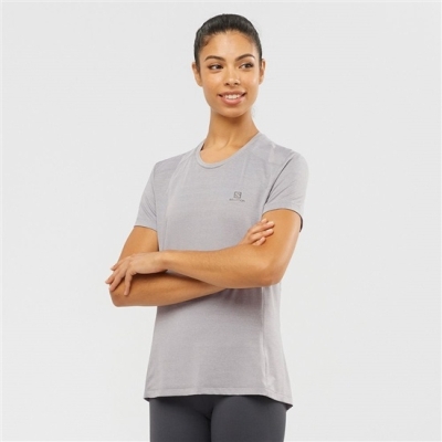 Camiseta Salomon XA W Corta Sleeve Mujer Grises | MX-971QGAV