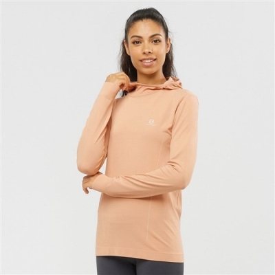 Capas Intermedias Salomon ESSENTIAL SEAMLESS HOODIE Mujer Beige | MX-692ULQC