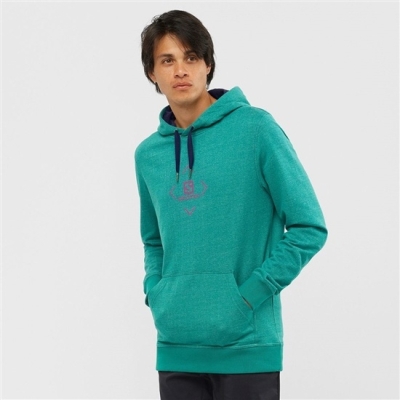 Capas Intermedias Salomon SHIFT HOODIE M Hombre Verdes | MX-428RNKA