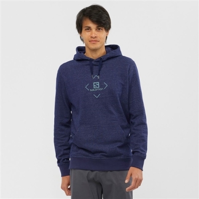 Capas Intermedias Salomon SHIFT HOODIE M Hombre Azul Marino | MX-479ICUR