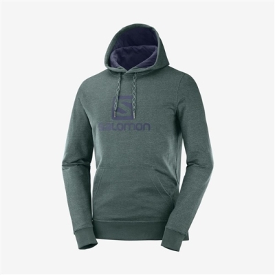 Capas Intermedias Salomon SHIFT HOODIE M Hombre Verdes | MX-832CESB