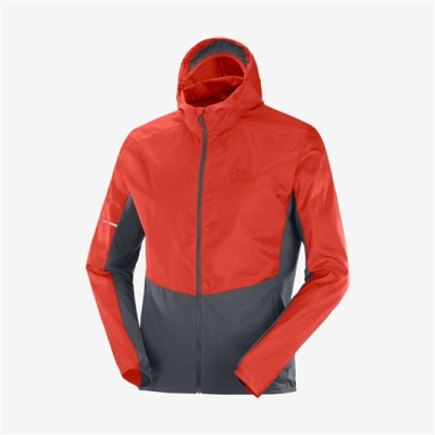 Chaquetas Salomon AGILE WIND Hombre Coral | MX-612JTLG