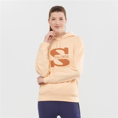 Pullover Salomon OUTLIFE LOGO SUMMER Encapuchado Mujer Beige | MX-632URCD