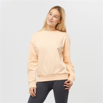 Pullover Salomon OUTLIFE SUMMER Crewneck Mujer Beige | MX-567ZPGR