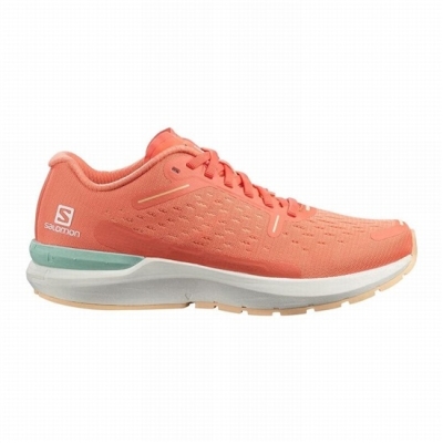 Tenis Para Correr En Carretera Salomon SONIC 4 BALANCE Mujer Blancos Creme | MX-263IEYZ