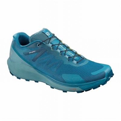 Tenis Para Correr Salomon SENSE RIDE 3 Hombre Azules | MX-876UFIP