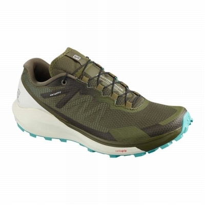 Tenis Para Correr Salomon SENSE RIDE 3 W Mujer Verde Oliva | MX-761FCZK