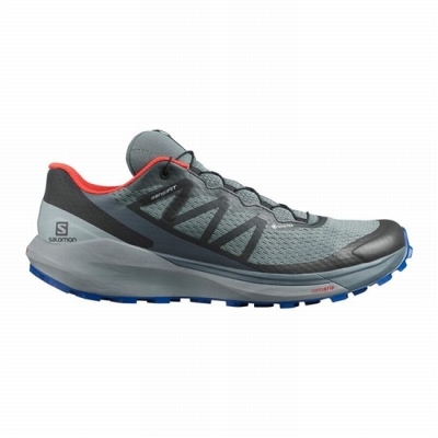 Tenis Para Correr Salomon SENSE RIDE 4 GORE-TEX INVISIBLE FIT Hombre Azules Oscuro Negros | MX-761AHYK