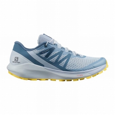 Tenis Para Correr Salomon SENSE RIDE 4 Mujer Azules Azules | MX-354URLX