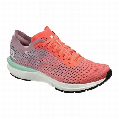 Tenis Para Correr Salomon SONIC 3 ACCELERATE W Mujer Marrom Blancos | MX-432SLYW