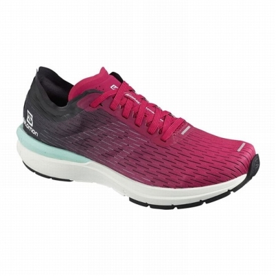 Tenis Para Correr Salomon SONIC 3 ACCELERATE W Mujer Rosas Blancos | MX-819DINO