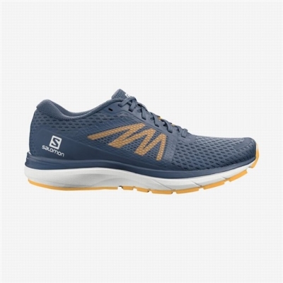 Tenis Para Correr Salomon VECTUR Hombre Azul Marino Blancos | MX-407VAEW