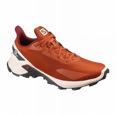 Tenis Para Trail Running Salomon ALPHACROSS BLAST Hombre Naranjas | MX-064NVIE