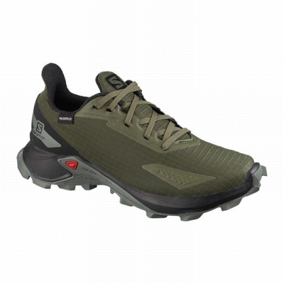 Tenis Para Trail Running Salomon ALPHACROSS BLAST CLIMASALOMON WATERPROOF Niños Verde Oliva Negros | MX-206UWED