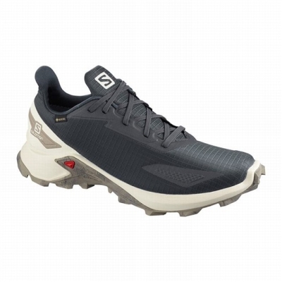 Tenis Para Trail Running Salomon ALPHACROSS BLAST GTX Hombre Grises Oscuro | MX-432KQJO